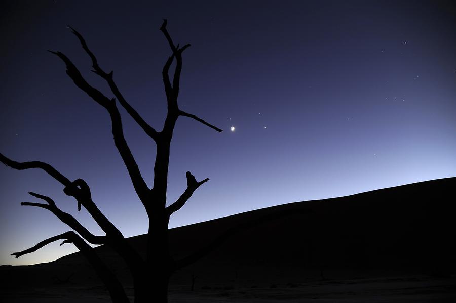 Deadvlei at Night