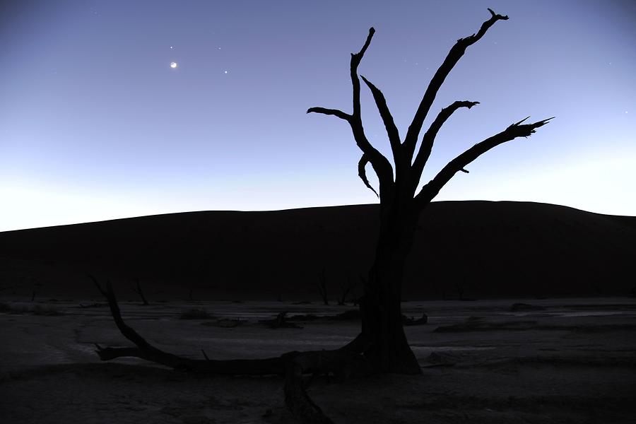 Deadvlei at Night