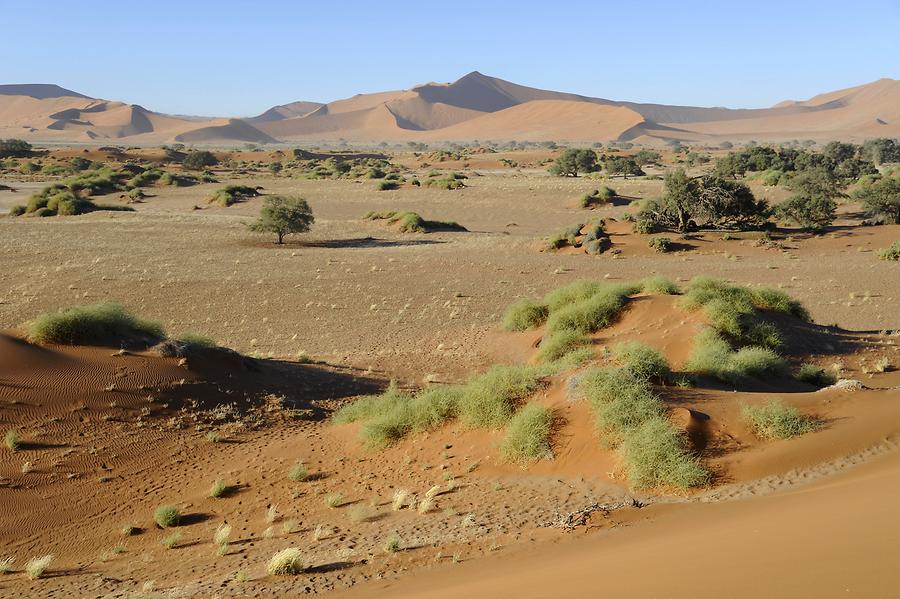 Sossusvlei