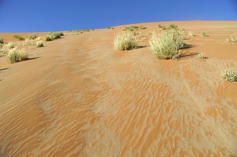 Sossusvlei