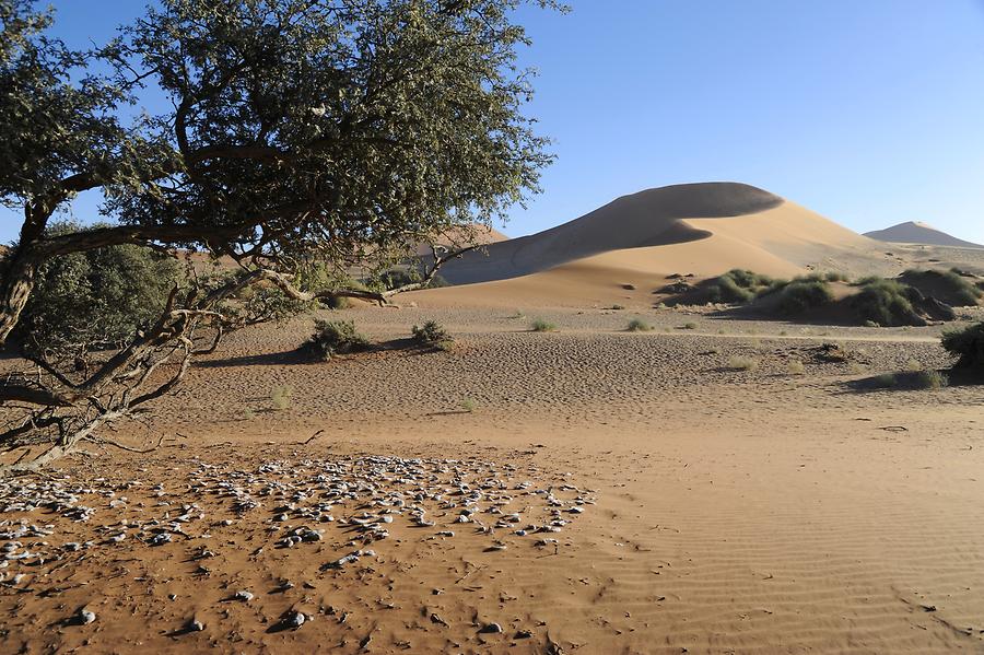 Sossusvlei