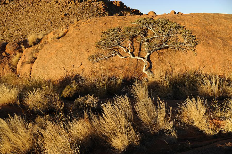 Sunset at Ranch Koiimasis