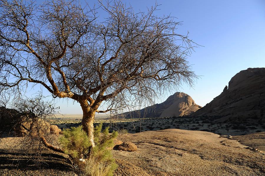 Spitzkoppe