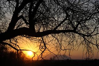 Spitzkoppe Sunrise (1)