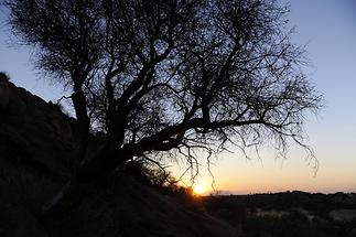 Spitzkoppe Sunrise (2)