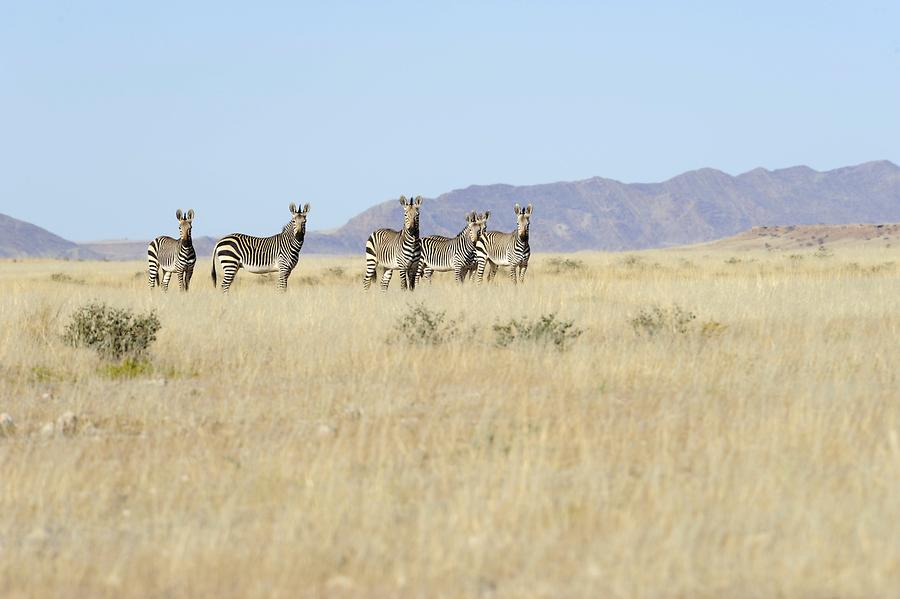 Namib-Naukluft National Park