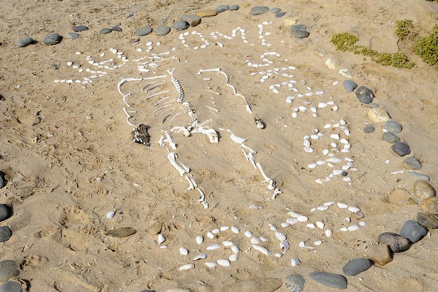 Skeleton Coast