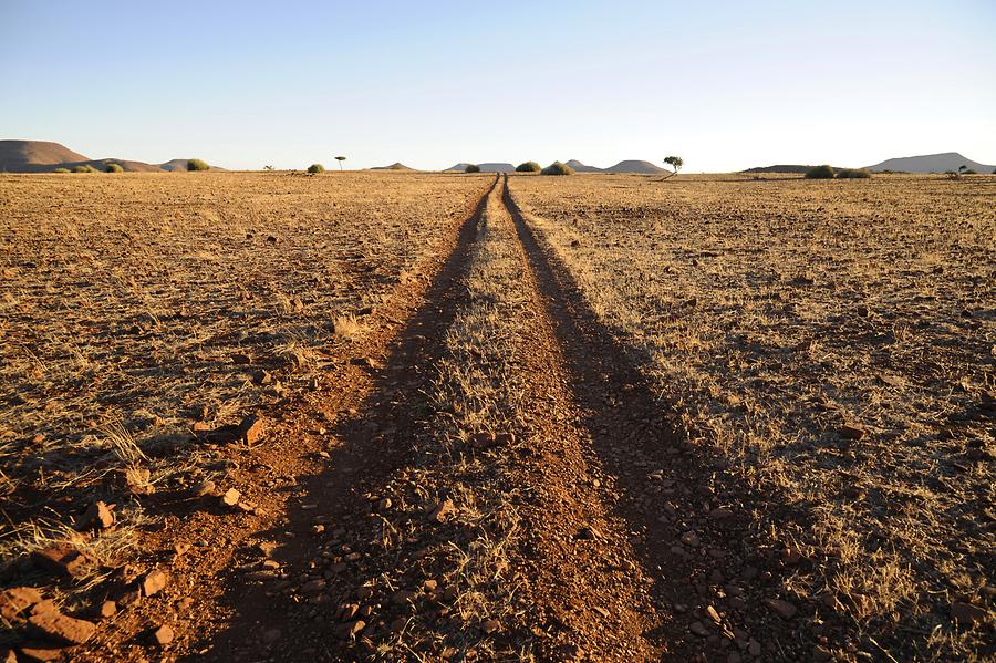 Landscape at Palmwag