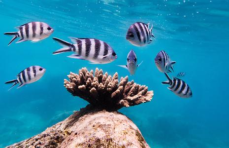 Praslin, Seychelles