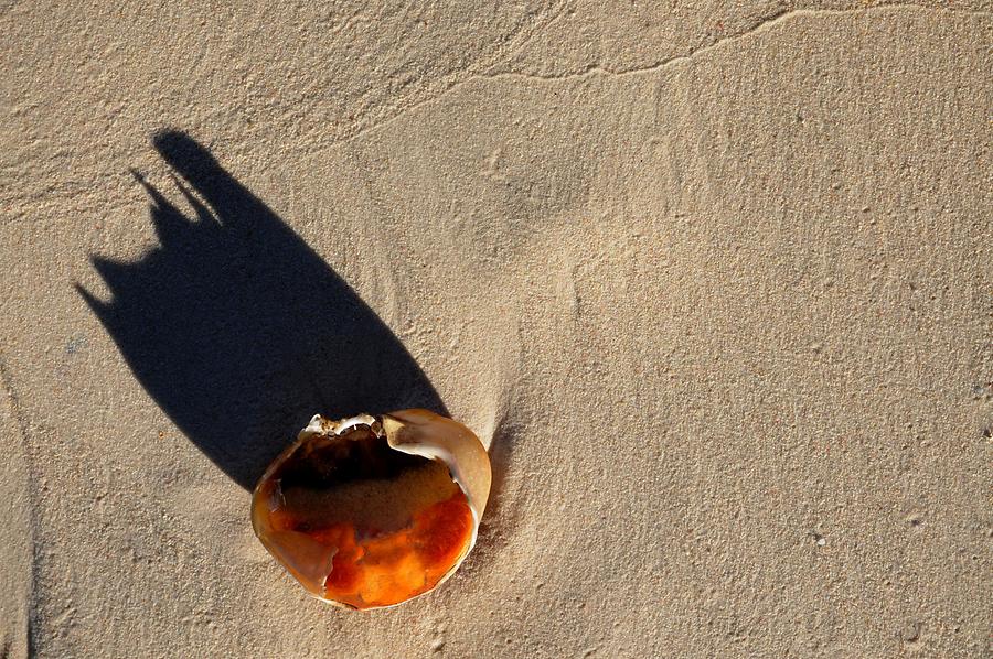 Anse Source d´Argent - Conch