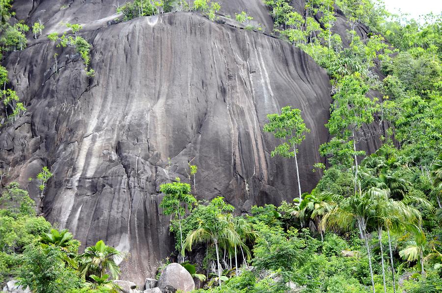 Anse Major - Coast