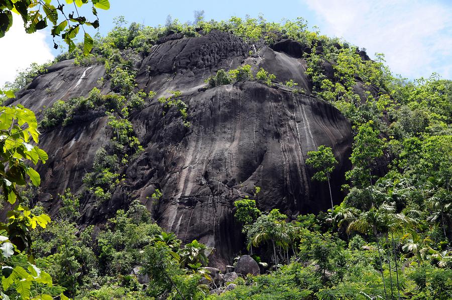 Anse Major - Coast