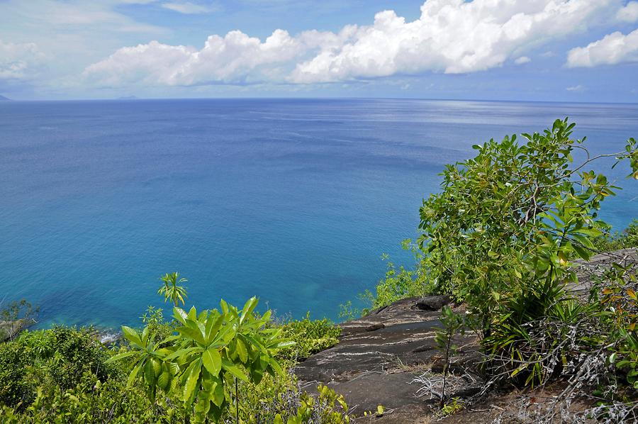 Anse Major - Coast