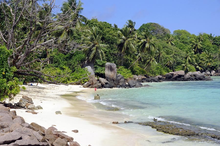 Anse aux Pins