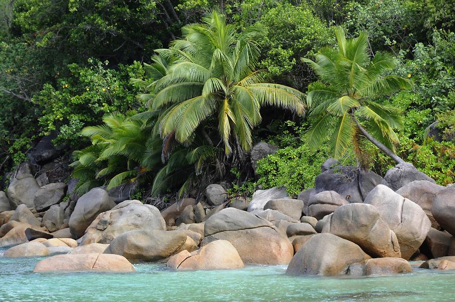 Anse Georgette