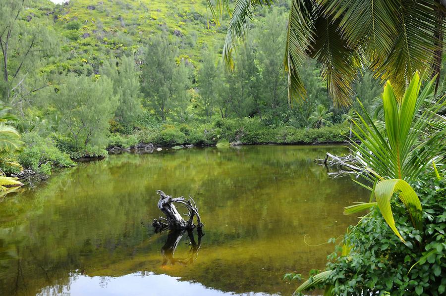 Anse Lazio - Coast