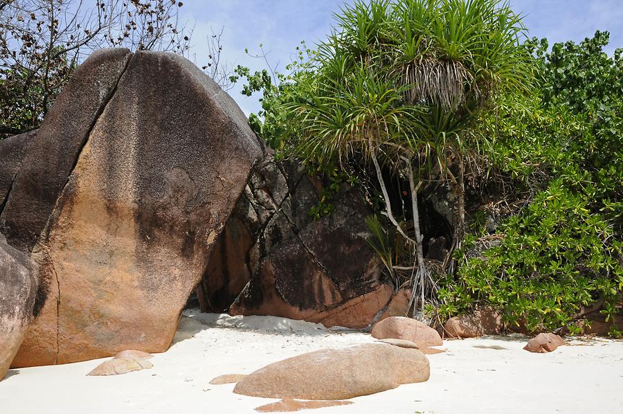 Anse Lazio