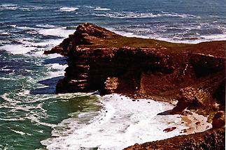 Cape of Good Hope, Shoreline