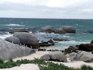 Boulders Beach