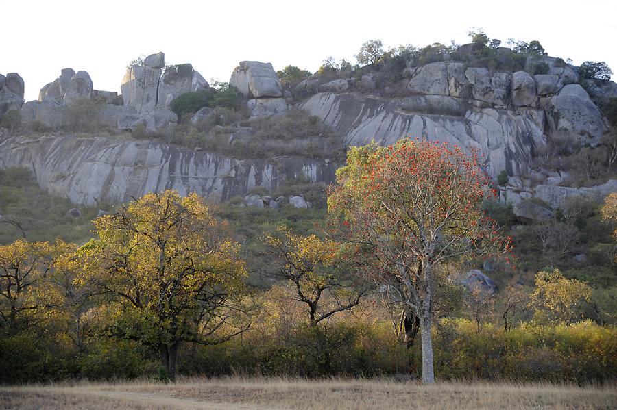 Hill Enclosure