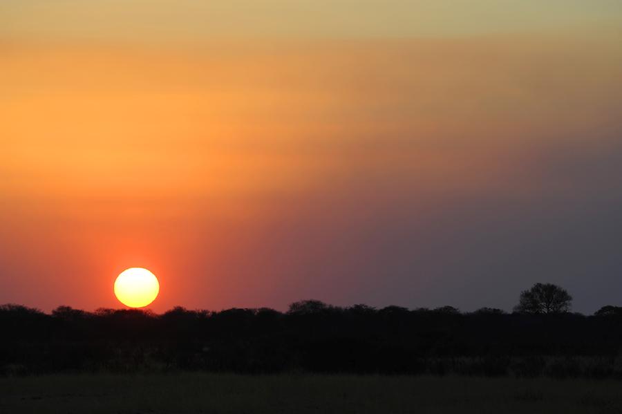 Hwange National Park