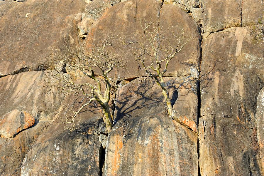 Matobo National Park