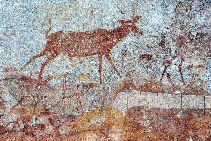 Rock Paintings Nswatugi Cave