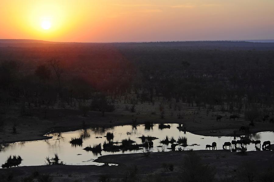 Sunset Safari Lodge