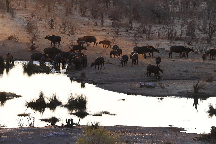 Sunset Safari Lodge