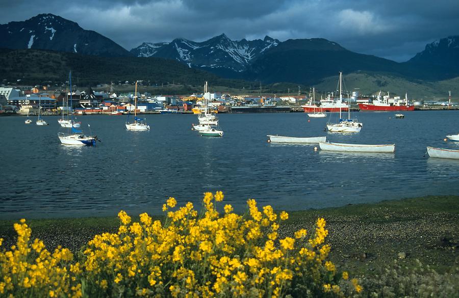 Ushuaia - Harbour