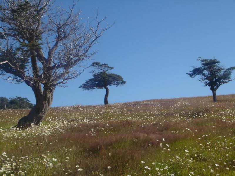 Estancia Harberton