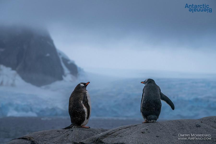 Antarctic Biennale, © AirPano 