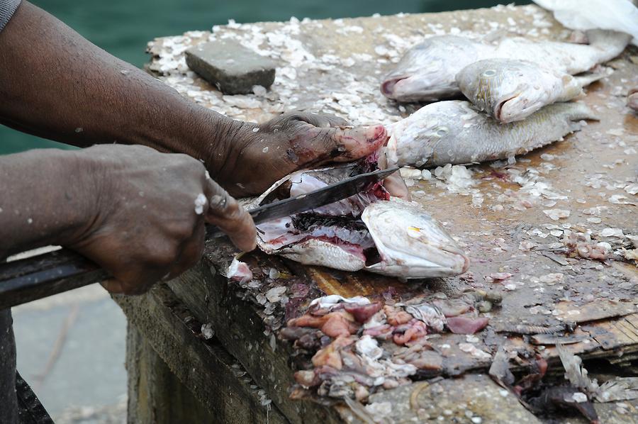 Nassau - Potters Cay; Fish Market