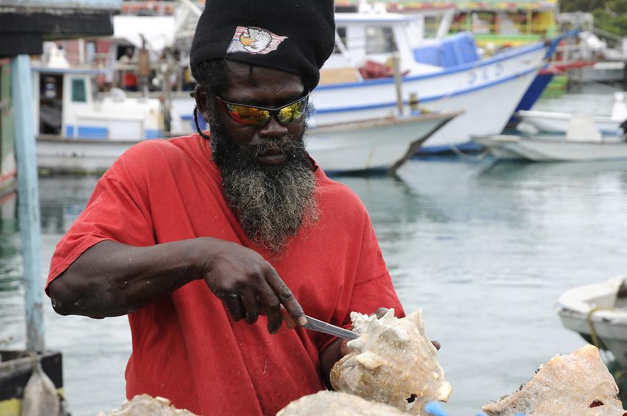 Nassau - Potters Cay; Fish Market