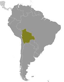 Bolivia in South America