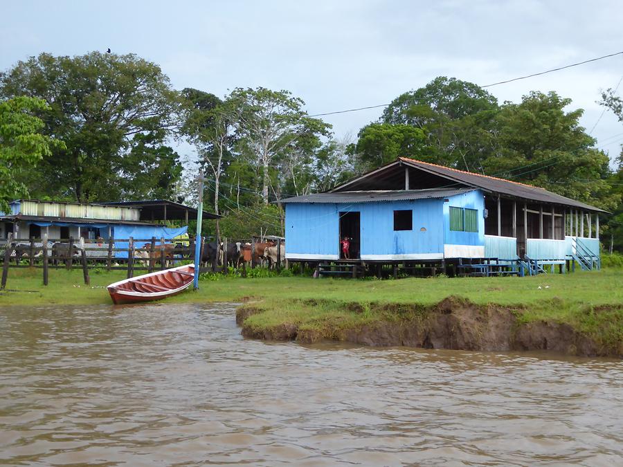 Furo dos Botos