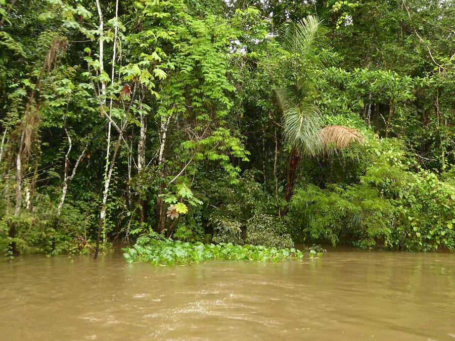 Lago Apaurá