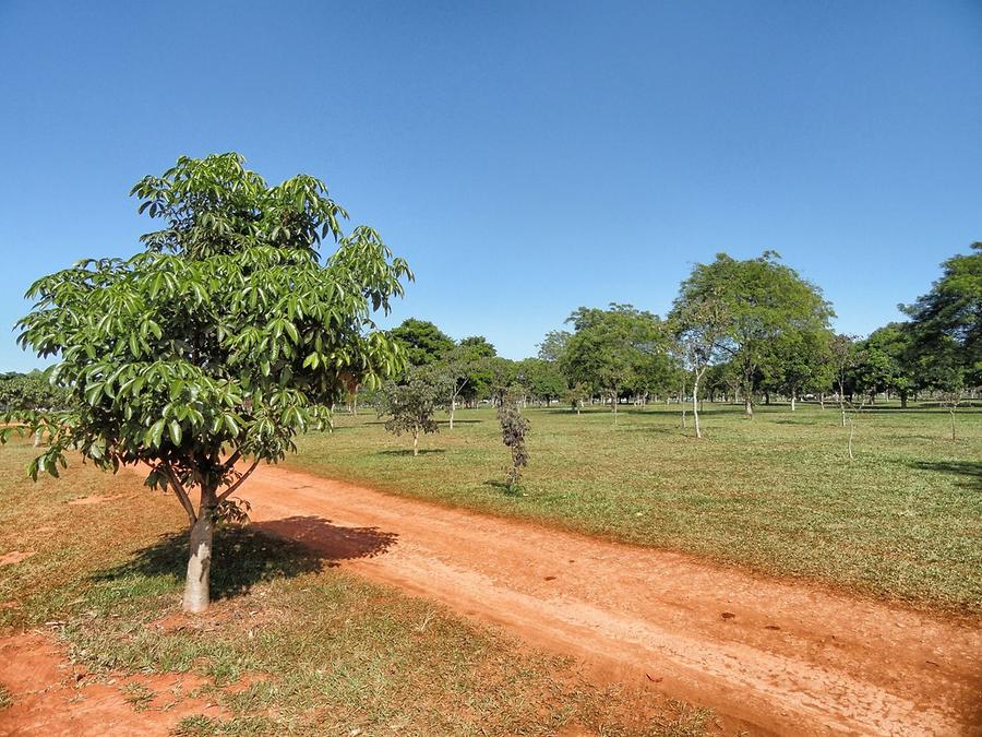 Arid Landscape