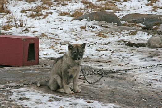 Nunavut