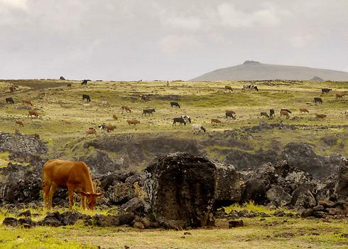 Easter Island