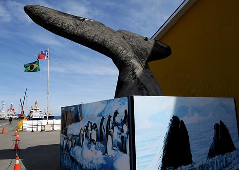 Punta Arenas