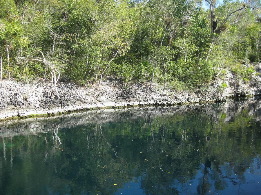 Bahia de Cochinos - Cueva de Pesces - Cenote