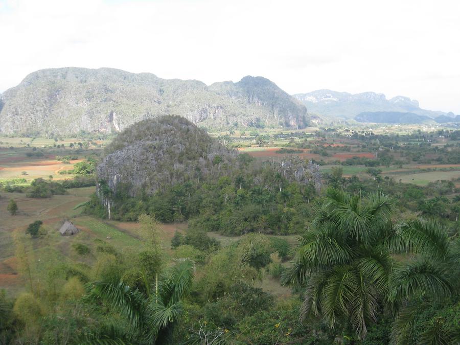 Vinales - Aussichtspunkt Los Jazmines - Mogote