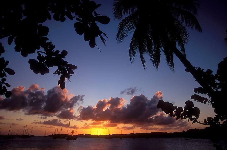 Prickly Bay at Sunset