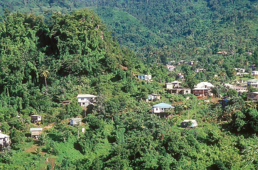 The Island's Interior