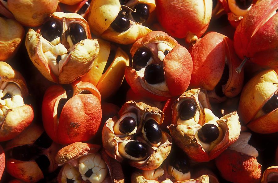 Brown's Town - Market; Ackee