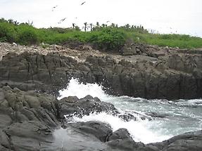 Iguana Island