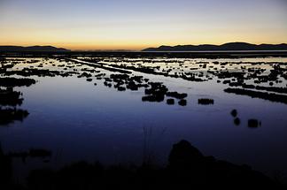 Lake Titicaca - Sunrise