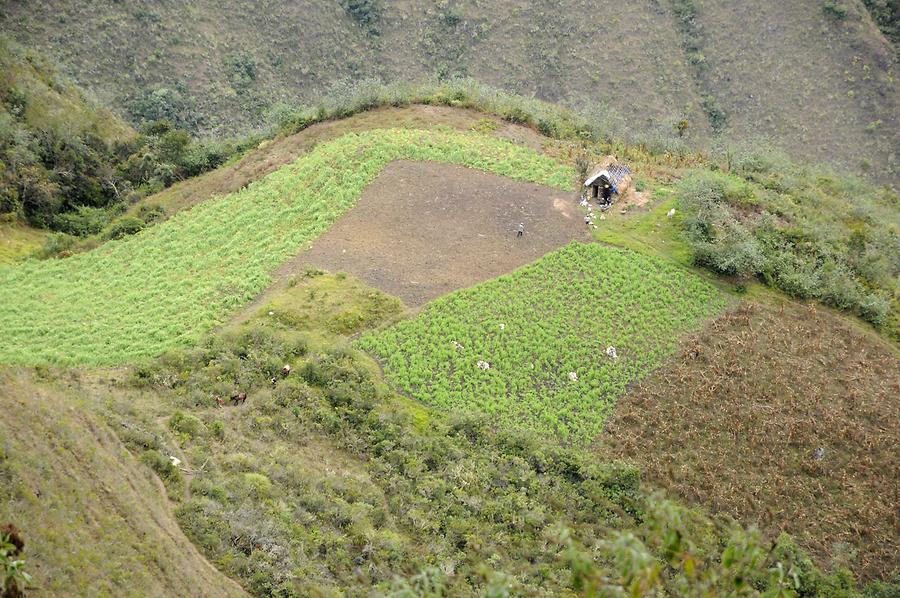 Urubamba Valley