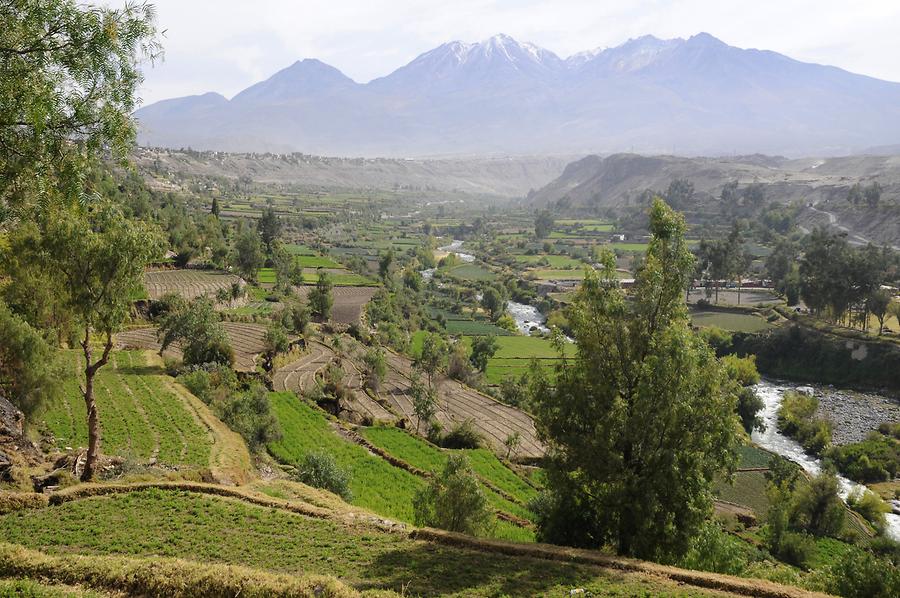 Arequipa-Carmen Alto